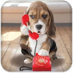 puppy call android application logo